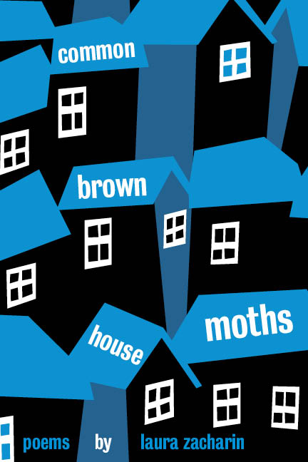 Common Brown House Moths